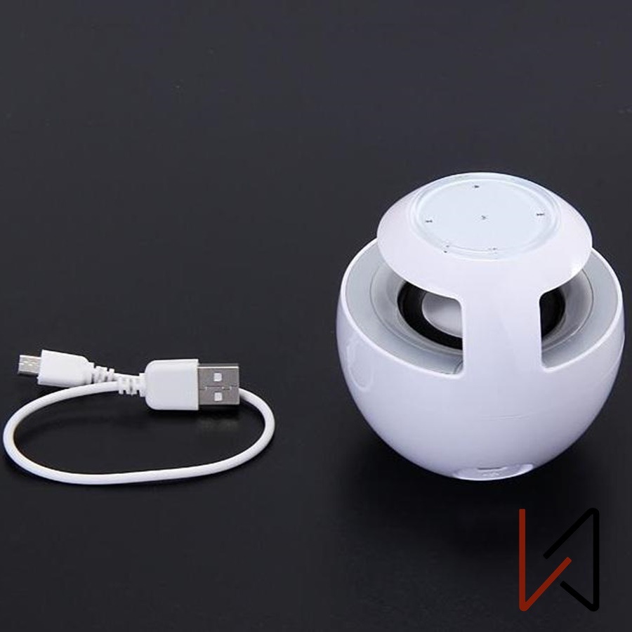 Loa Bluetooth Huawei Honor AM08